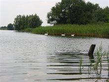 engelermeer_close_