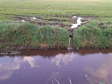 buisje_1_1