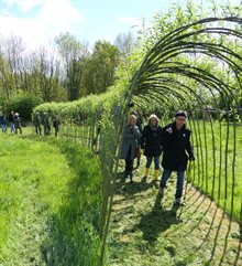 Wandeling door de wilgentunnel kopie