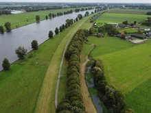 32a DJI_0600 baken bomen