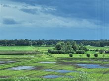 hoge_grondwaterstanden