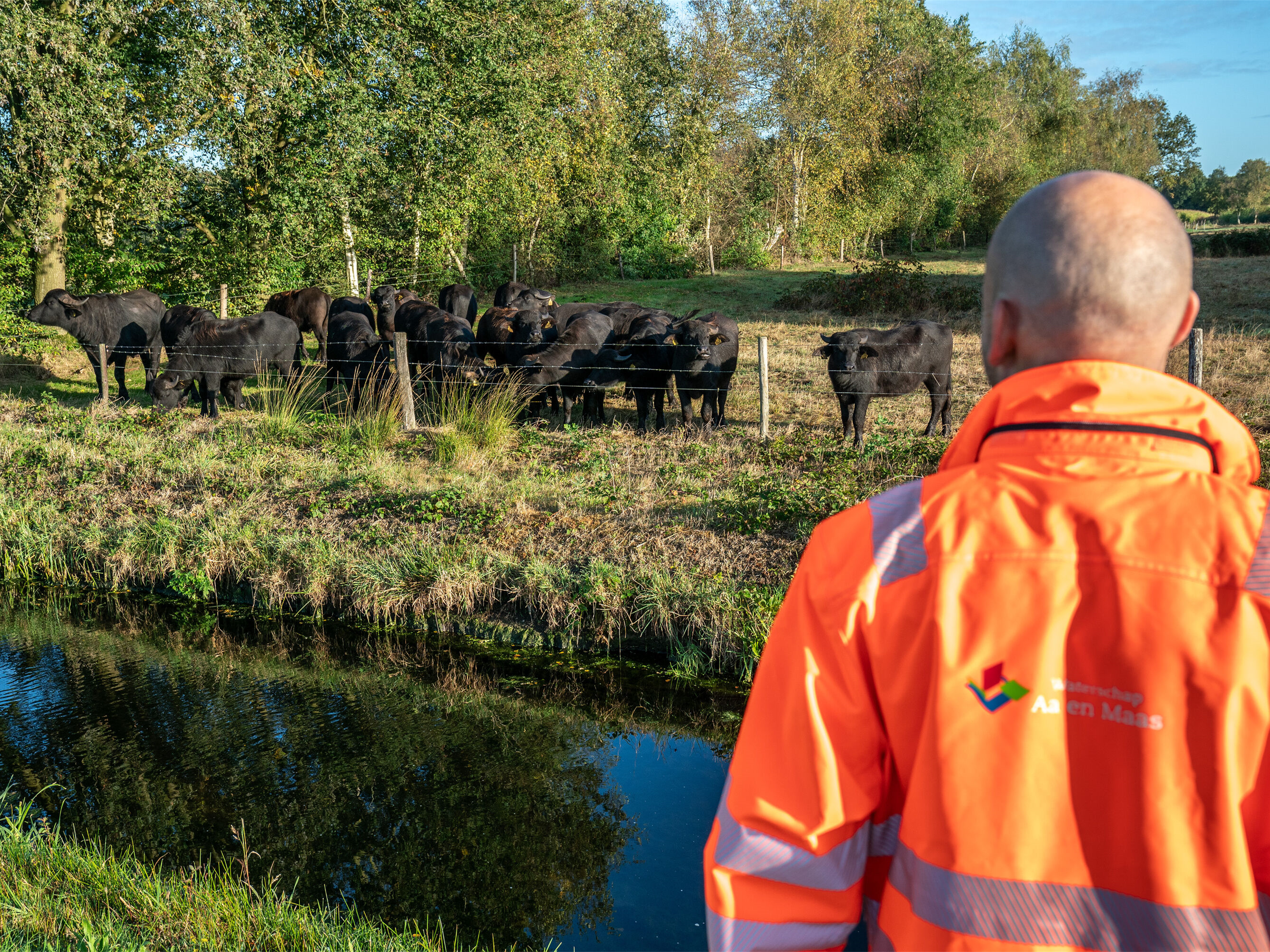 Ligt jouw perceel aan een schouwsloot? Vanaf 15 november controleren wij of je deze goed onderhoudt