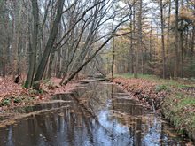 waterbericht_november_koordenkanaal_stippelberg