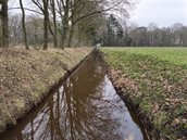 Landmeerseloop 1