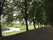 30_c_img_4294_lindendijk