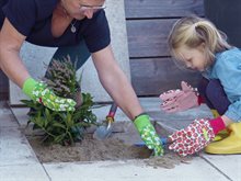 tegel_eruit_plant_erin_1