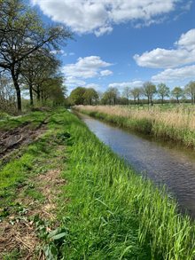 Groote Wetering (2024)