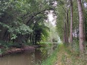 Biezenloop WBB