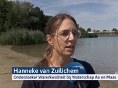 hanneke_van_zuilichem