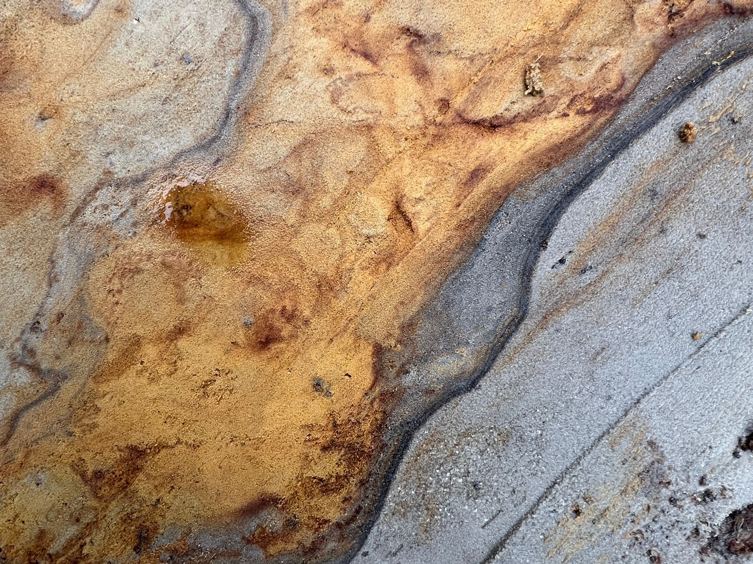 Bijzondere breuken te zien tijdens graafwerk in Boekel en Maashorst