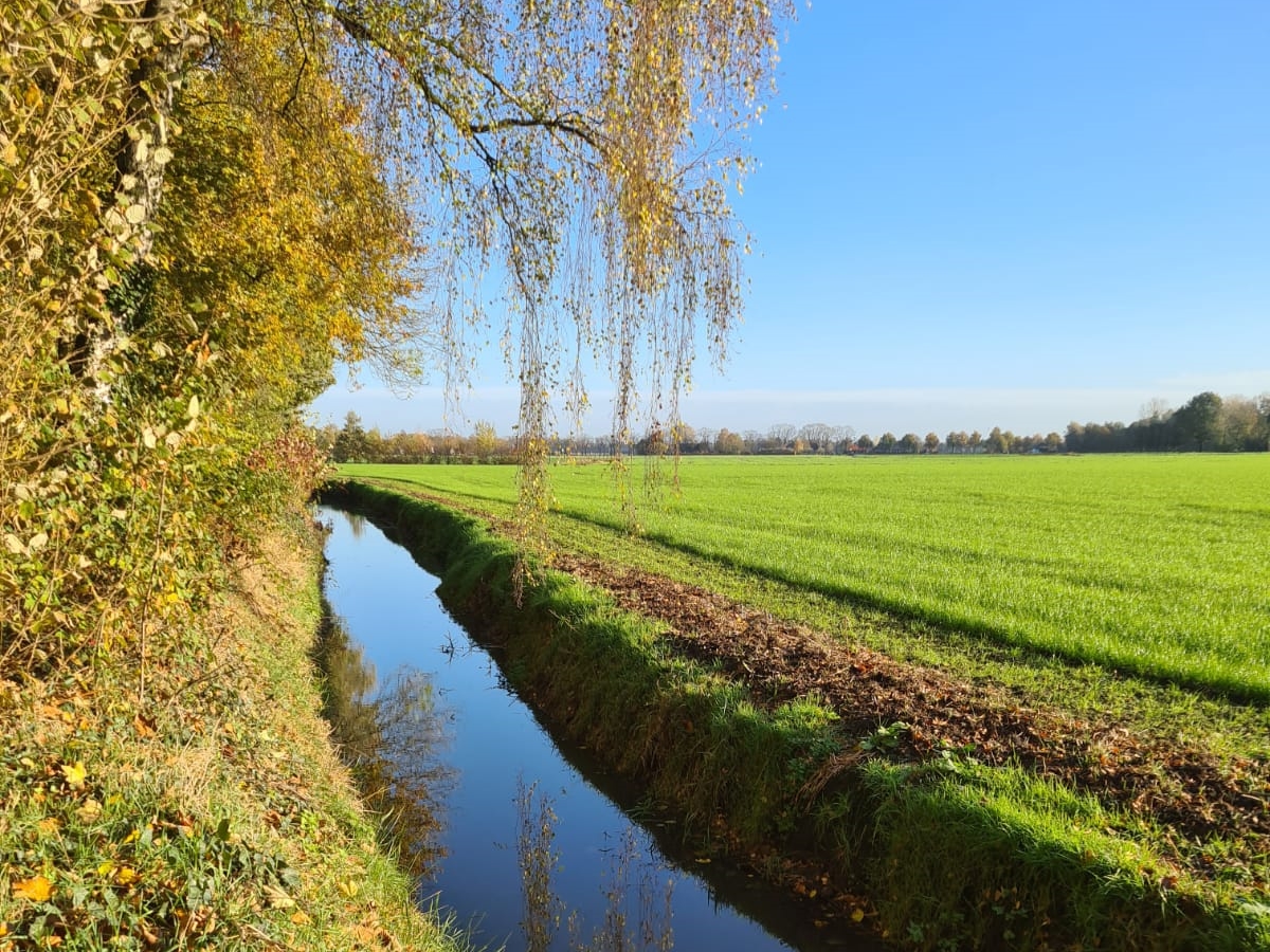Uitnodiging inloopbijeenkomst conceptplan natuurvriendelijke oever Berlicum