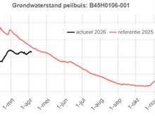 grondwaterstand peilbuis
