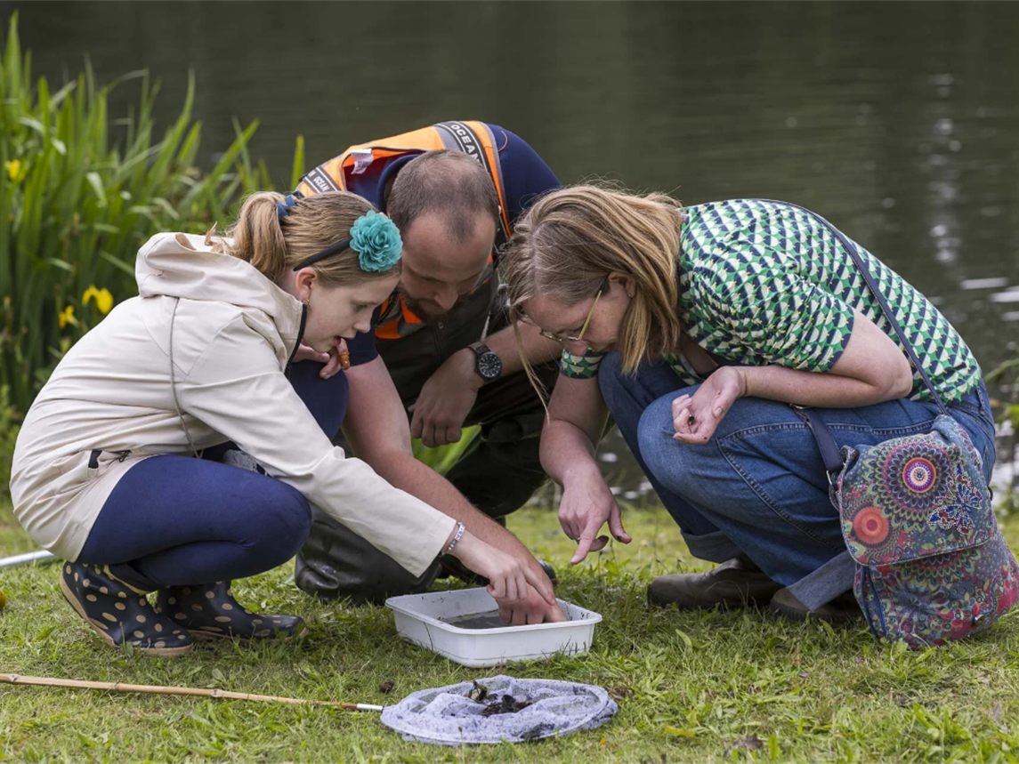Save the date: kom 27 juni naar de Waterdag vol spetterende activiteiten bij natuurcentrum De Maasho