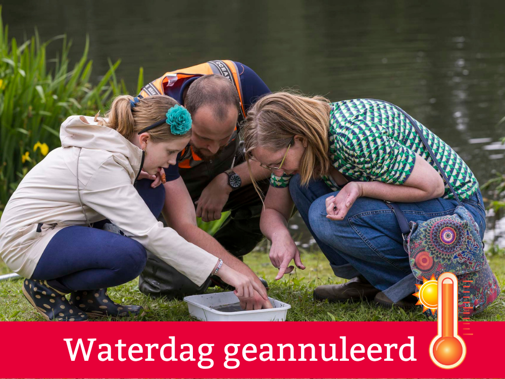 Waterdag bij Natuurcentrum De Maashorst gaat niet door vanwege extreme hitte