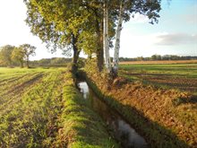 De beek de Esperloop