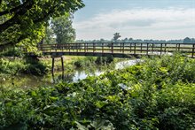 Wandelbrug over de beek de Leijgraaf