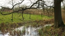 Water in natuurgebied Hooibroeken