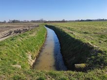 Boerdonkse Aa vanaf Middenweg