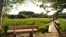 Bankje en brug in het natuurgebied Sang en Goorkens