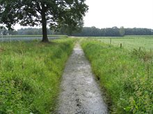 De beek de Vleutloop