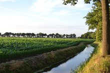 Perceel langs het natuurgebied Sang en Goorkens en beek