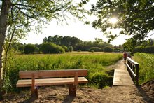 Bankje en brug in het natuurgebied Sang en Goorkens