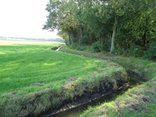 De beek de Vleutloop