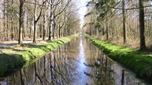 De beek de Biezenloop in het natuurgebied Wijboschbroek