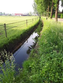 De beek de Biezenloop