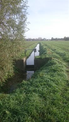 Stuw in de beek de Biezenloop