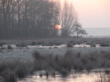 Winterslandschap bij de Rijskampen