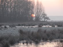 Wintersbeeld van de Rijskampen met opkomende zon