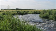 De Vispassage bij de spuisluis Crèvecoeur