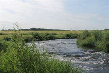 De Vispassage bij de spuisluis Crèvecoeur