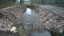 Een bekkenvispassage in de beek de Wambergse beek