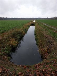 Beek in de buurt van de Eiermijndreef